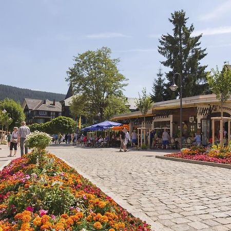 Waldoase Titisee المظهر الخارجي الصورة
