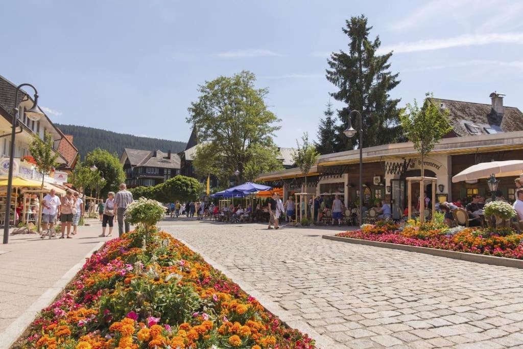 Waldoase Titisee المظهر الخارجي الصورة