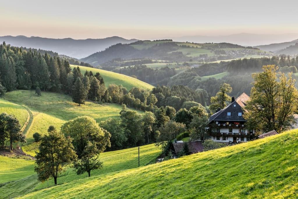 Waldoase Titisee المظهر الخارجي الصورة