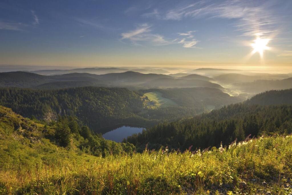 Waldoase Titisee المظهر الخارجي الصورة