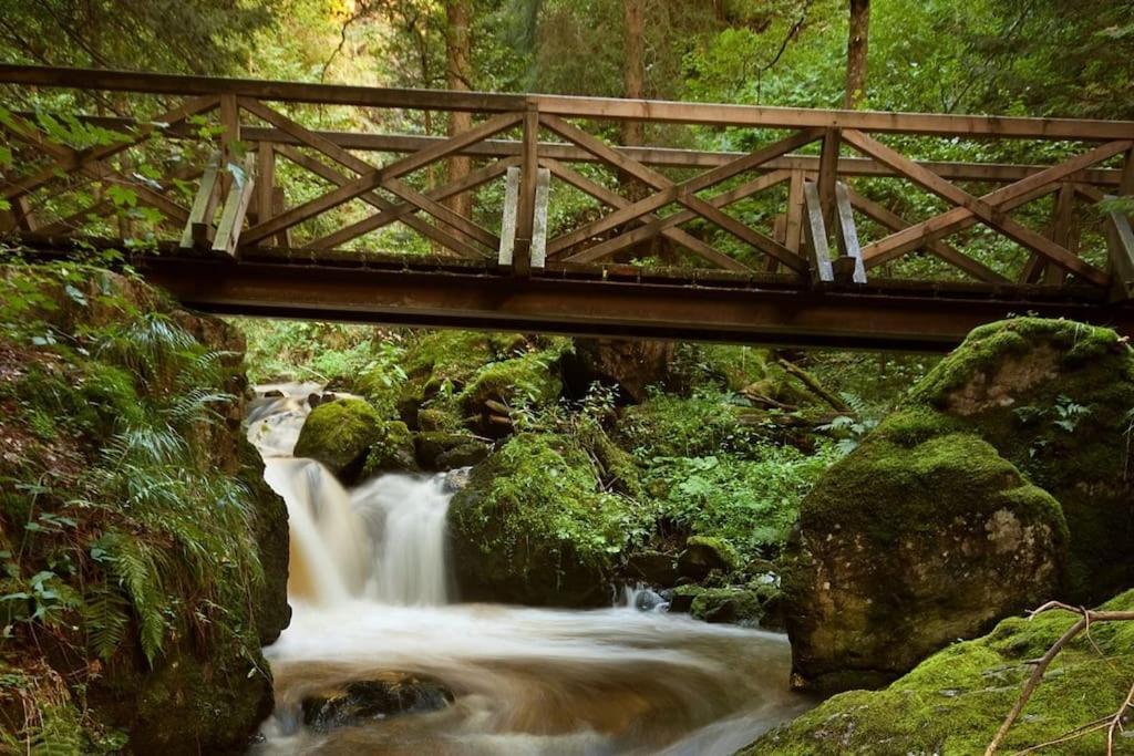 Waldoase Titisee المظهر الخارجي الصورة