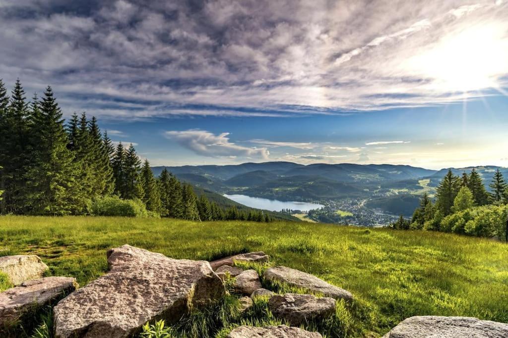 Waldoase Titisee المظهر الخارجي الصورة