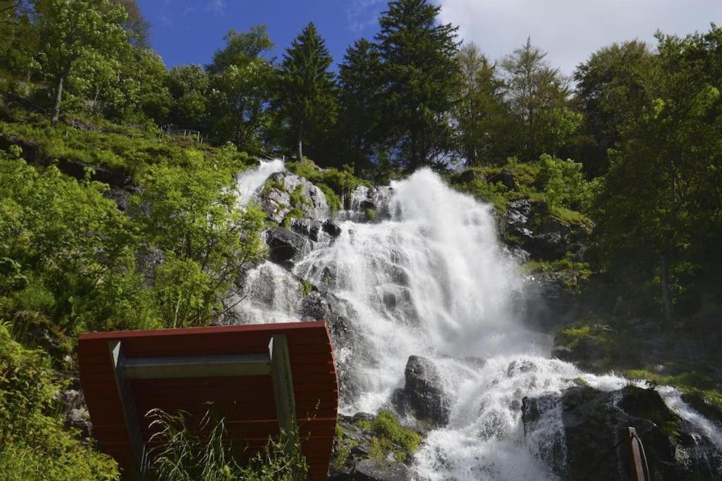 Waldoase Titisee المظهر الخارجي الصورة